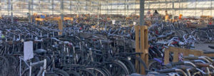 Arrivage vélos hollandais Ecocycle