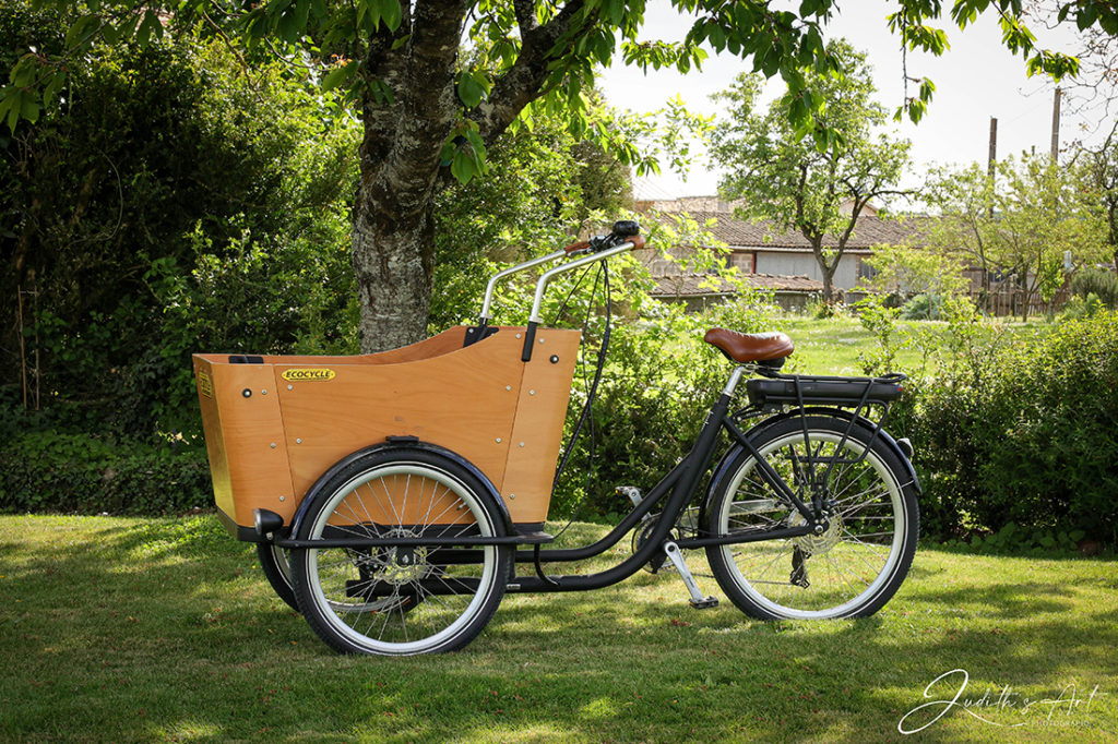 vélo cargo électrique d'occasion - ph. Judith's Art