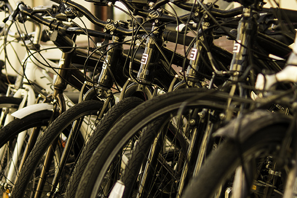 Vélos pour les loueurs de vélos