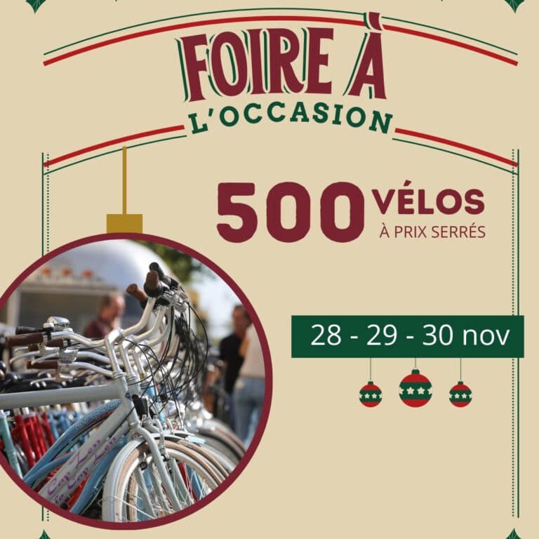 Foire occasion de Novembre