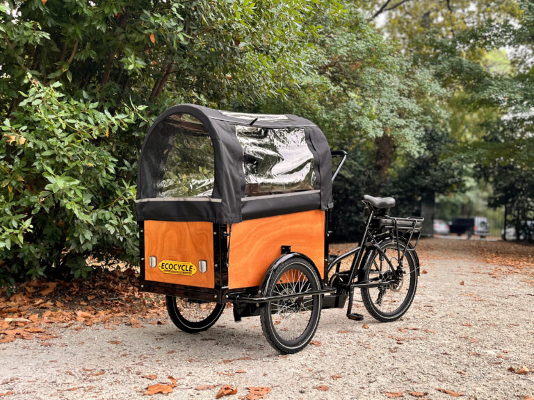 Cargo électrique neuf Bordeaux