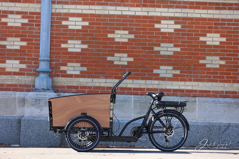 Cargo électrique avec facilité de paiement