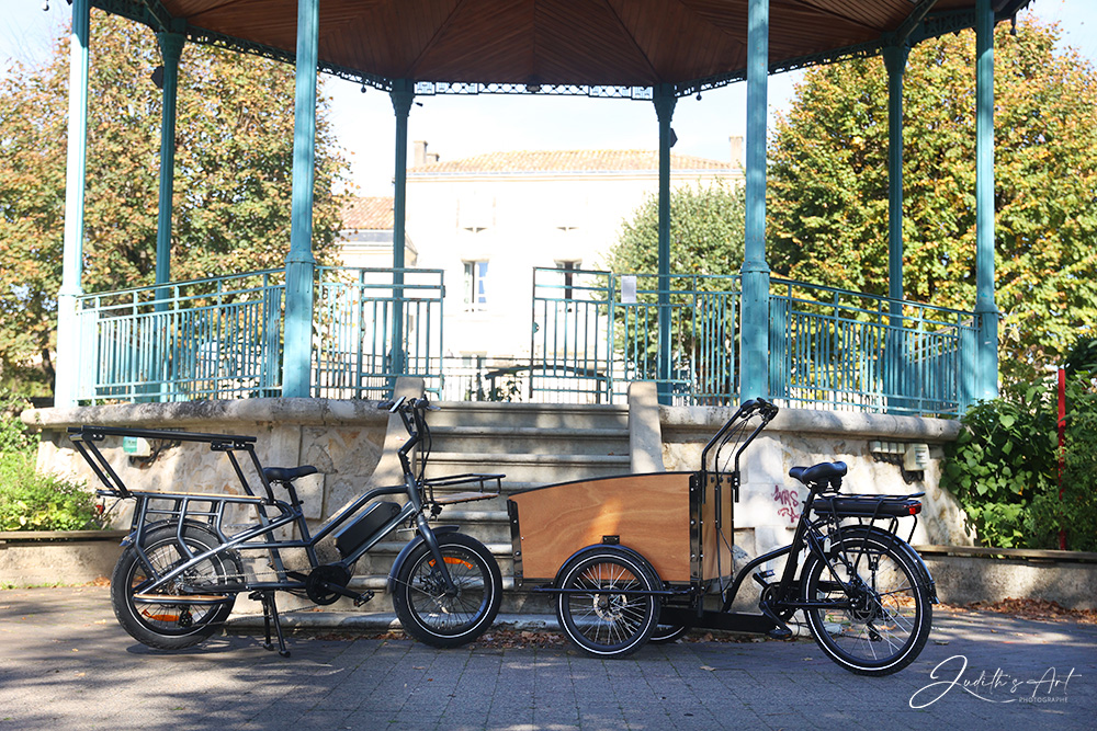 lontail ou cargo à vendre aux magasins Ecocycle Mérignac et Darwin